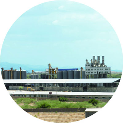 تاریخچه شرکت