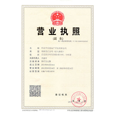 تاریخچه شرکت