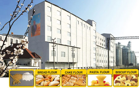 کارخانه آسیاب آرد گندم
